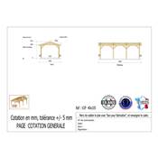 Abri 2 pentes Bois Douglas France Carport Auvent voiture 400x1050cm H 250cm