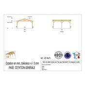 Abri 2 pentes Bois Douglas France Carport Auvent voiture 600x700cm H 250cm