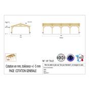 Abri 2 pentes Bois Douglas France Carport Auvent voiture 750x1250cm H 250cm