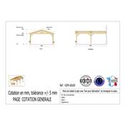 Abri 2 pentes Adossé Bois Douglas France Carport Auvent voiture 600x500cm H 250cm