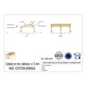 Abri 2 pentes Faitage Décalé Bois Douglas France Carport Auvent voiture 500x450cm H 250cm