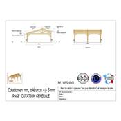 Abri 2 pentes Faitage Décalé Bois Douglas France Carport Auvent voiture 550x450cm H 250cm