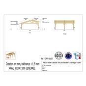 Abri 2 pentes Faitage Décalé Bois Douglas France Carport Auvent voiture 650x550cm H 250cm