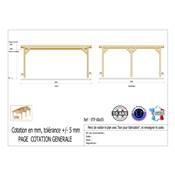 Abri Toit Plat Bois Douglas France Carport Auvent voiture 600x550cm H 250cm