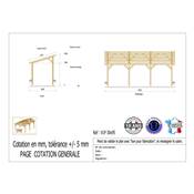 Abri 1 pente Bois Douglas France Carport Auvent voiture 300x950cm H 250cm