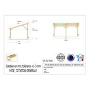 Abri 1 pente Bois Douglas France Carport Auvent voiture 450x550cm H 250cm