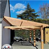 Abri 1 pente Adossé Bois Douglas France Carport Auvent voiture 350x500cm H 250cm