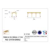 Abri 2 pentes Bois Douglas France Carport Auvent voiture 300x800cm H 250cm