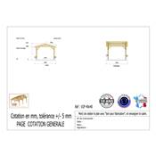 Abri 2 pentes Bois Douglas France Carport Auvent voiture 400x400cm H 250cm