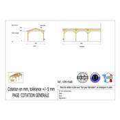 Abri 2 pentes Adossé Bois Douglas France Carport Auvent voiture 450x800cm H 250cm