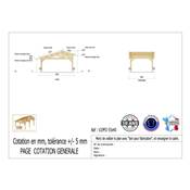 Abri 2 pentes Faitage Décalé Bois Douglas France Carport Auvent voiture 550x450cm H 250cm