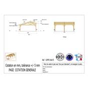 Abri 2 pentes Faitage Décalé Bois Douglas France Carport Auvent voiture 600x750cm H 250cm