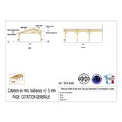 Abri 2 pentes Faitage Décalé Adossé Bois Douglas France Carport Auvent voiture 600x800cm H 250cm