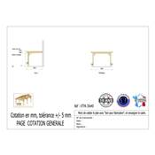 Abri Toit Plat Adossé Bois Douglas France Carport Auvent voiture 300x400cm H 250cm