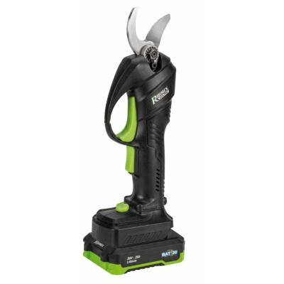Sécateur R-BAT20 à batterie R-BAT20 20V batterie 2 Amp et câble de charge USB