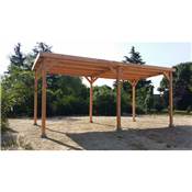 Abri Toit Plat, Bois DOUGLAS Franais