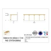 Abri Toit Plat Adossé Bois Douglas France Carport Auvent Camping-car 400x1250cm H 320cm