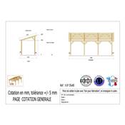 Abri 1 pente Bois Douglas France Carport Auvent voiture 350x800cm H 250cm