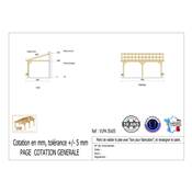 Abri 1 pente Adossé Bois Douglas France Carport Auvent voiture 350x550cm H 250cm