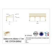 Abri 1 pente Adossé Bois Douglas France Carport Auvent voiture 400x1050cm H 250cm