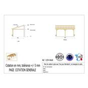Abri 1 pente Adossé Bois Douglas France Carport Auvent voiture 400x600cm H 250cm