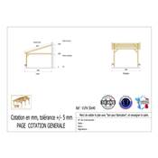 Abri 1 pente Adossé Bois Douglas France Carport Auvent voiture 500x400cm H 250cm