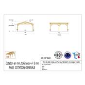 Abri 2 pentes Bois Douglas France Carport Auvent voiture 600x650cm H 250cm