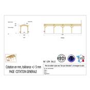 Abri 2 pentes Adossé Bois Douglas France Carport Auvent voiture 300x1150cm H 250cm