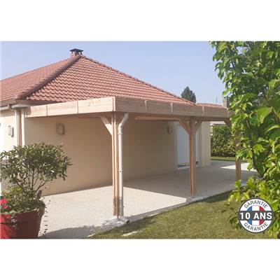 Abri Toit Plat Adossé Bois Douglas France Carport Auvent voiture 400x500cm H 250cm