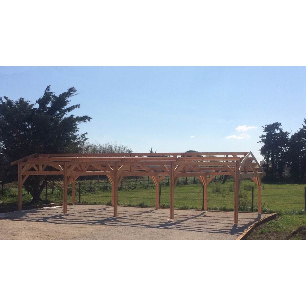 Abri deux pentes, 500cmx400cm, bois douglas francais, carport, auvent, abri  voiture, cpbf-v2p500x400 V2P50X40 - Conforama