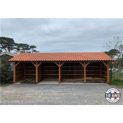 Abri 1 pente Bois Douglas France Carport Auvent voiture 300x1250cm H 250cm