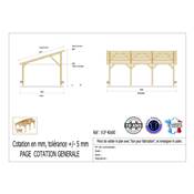 Abri 1 pente Bois Douglas France Carport Auvent voiture 400x800cm H 250cm