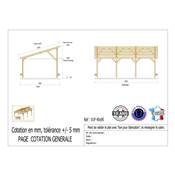 Abri 1 pente Bois Douglas France Carport Auvent voiture 450x950cm H 250cm