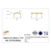 Abri 2 pentes Bois Douglas France Carport Auvent voiture 450x500cm H 250cm