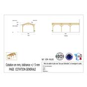 Abri 2 pentes Adossé Bois Douglas France Carport Auvent voiture 450x1050cm H 250cm