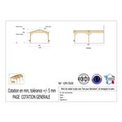 Abri 2 pentes Adossé Bois Douglas France Carport Auvent voiture 500x500cm H 250cm