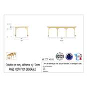 Abri Toit Plat Bois Douglas France Carport Auvent Camping-car 450x1050cm H 320cm