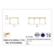 Abri Toit Plat Bois Douglas France Carport Auvent Camping-car 500x800cm H 320cm