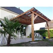 Pergola Adossée Bois Douglas France Carport Auvent terrasse 400x450cm H 250cm