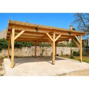 Abri 1 pente Bois Douglas France Carport Auvent voiture 450x750cm max H 250cm