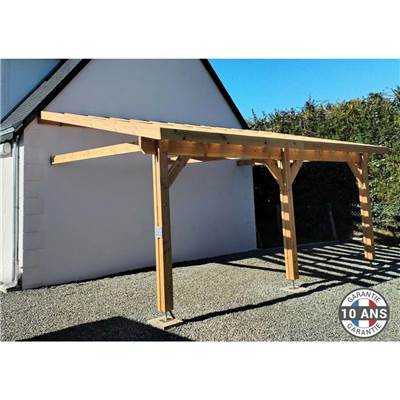Abri 1 pente Adossé Bois Douglas France Carport Auvent voiture 300x650cm H 250cm