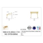 Abri 1 pente Adossé Bois Douglas France Carport Auvent voiture 350x400cm H 250cm