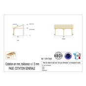 Abri 1 pente Adossé Bois Douglas France Carport Auvent voiture 350x600cm H 250cm