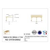 Abri 1 pente Adossé Bois Douglas France Carport Auvent voiture 400x500cm H 250cm