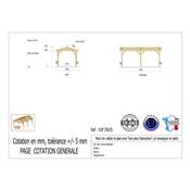 Abri 2 pentes Bois Douglas France Carport Auvent voiture 350x550cm H 250cm