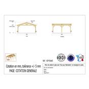 Abri 2 pentes Bois Douglas France Carport Auvent voiture 650x650cm H 250cm