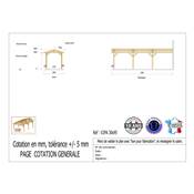 Abri 2 pentes Adossé Bois Douglas France Carport Auvent voiture 300x950cm H 250cm