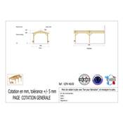 Abri 2 pentes Adossé Bois Douglas France Carport Auvent voiture 400x500cm H 250cm