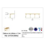 Abri Toit Plat Adossé Bois Douglas France Carport Auvent voiture 300x800cm H 250cm