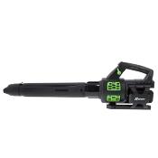 Souffleur pro R-BAT20 20v avec 2 batteries 2 amp et chargeur